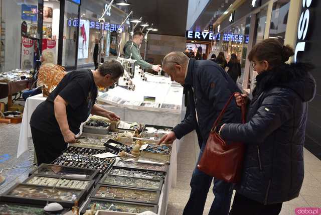 [FOTO] Zobaczcie te okazy! Ruszyła Giełda Minerałów i Biżuterii z kamieni szlachetnych i półszlachetnych