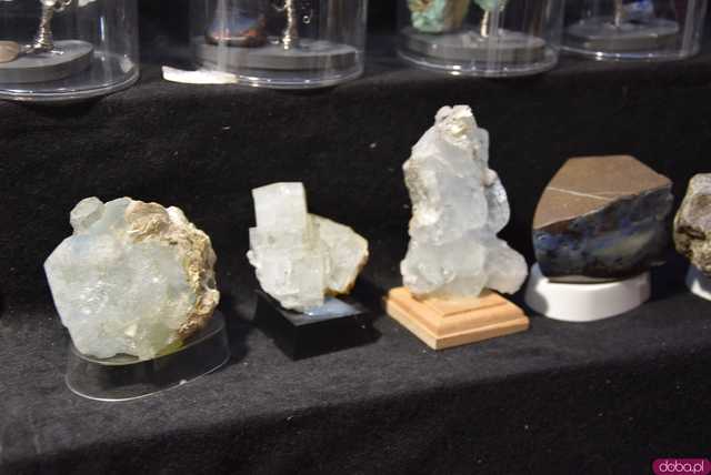 [FOTO] Zobaczcie te okazy! Ruszyła Giełda Minerałów i Biżuterii z kamieni szlachetnych i półszlachetnych