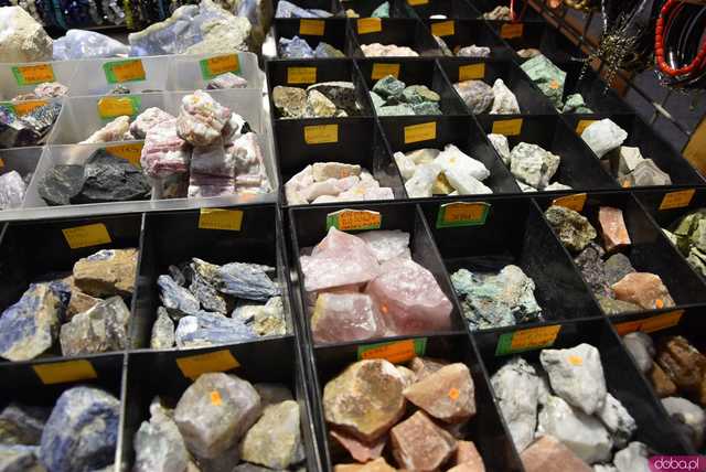 [FOTO] Zobaczcie te okazy! Ruszyła Giełda Minerałów i Biżuterii z kamieni szlachetnych i półszlachetnych