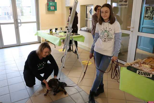 [FOTO] Jeździli na łyżwach, aby wspomóc bezdomniaki