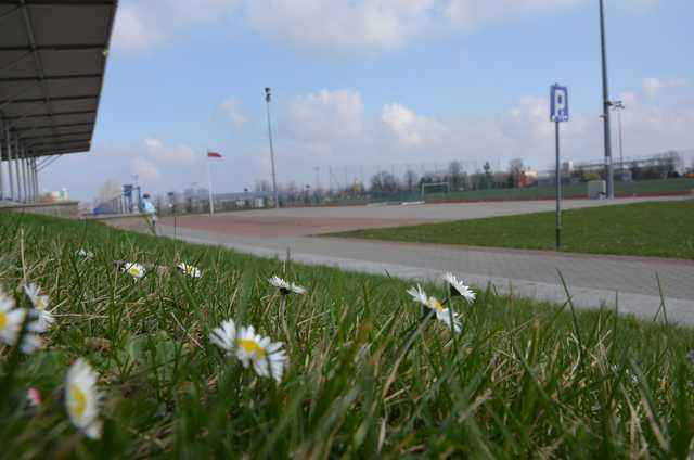 [FOTO] W Strzegomiu wiosna budzi się do życia 