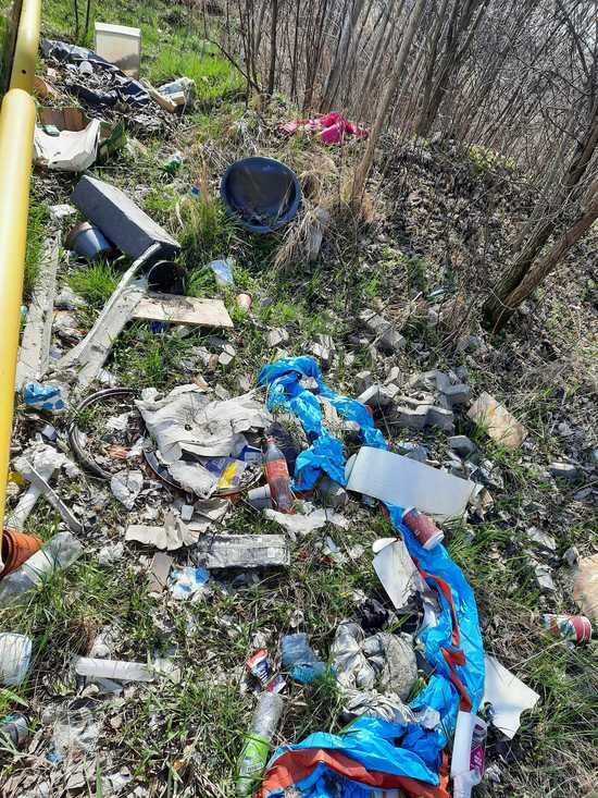 [FOTO] Dziesiątki worków zapełnionych odpadami. Trwa porządkowanie zaśmieconych terenów miasta