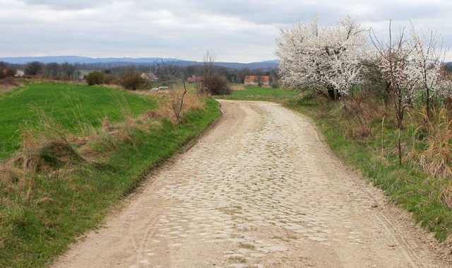[FOTO] Droga w Czernicy coraz bliżej