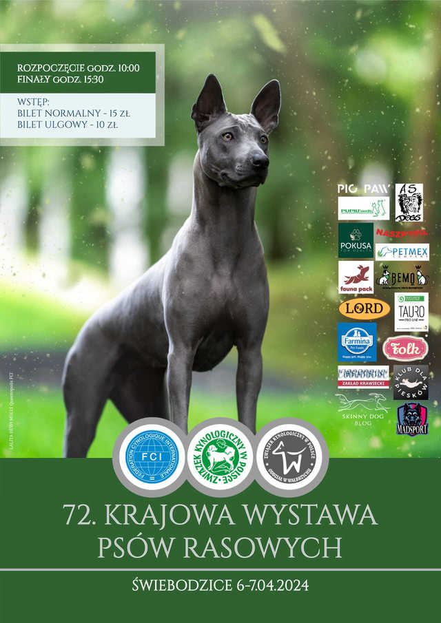 [FOTO] 70. Krajowa Wystawa Psów Rasowych