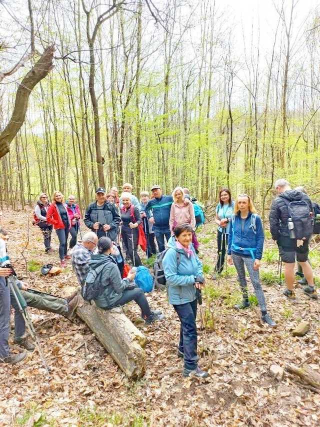 [FOTO] Żarodreptaki wędrowały po Górach Kaczawskich