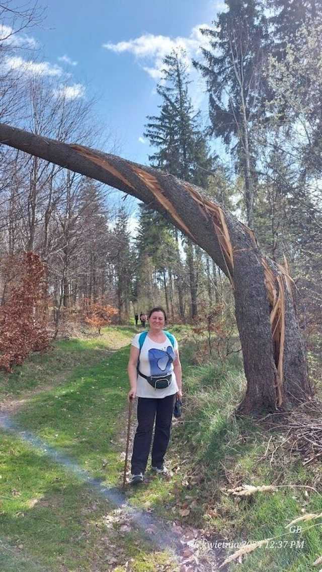 [FOTO] Żarodreptaki wędrowały po Górach Kaczawskich