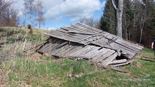 [FOTO] Żarodreptaki wędrowały po Górach Kaczawskich