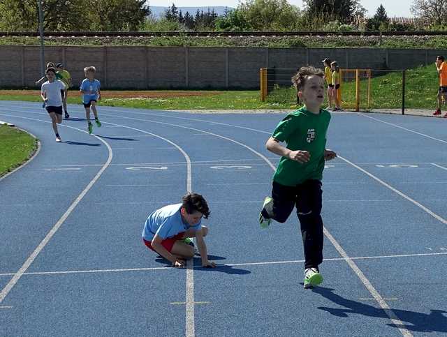 [FOTO] Uczniowie świdnickich podstawówek rywalizowali w drużynowych i indywidualnych biegach przełajowych