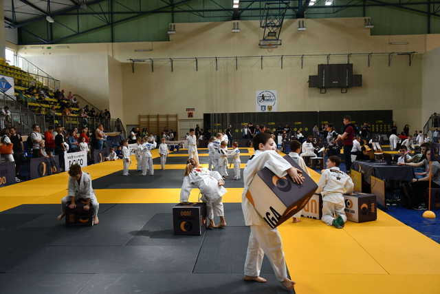 [FOTO] Rywalizowali w Super Lidze Judo w Świebodzicach