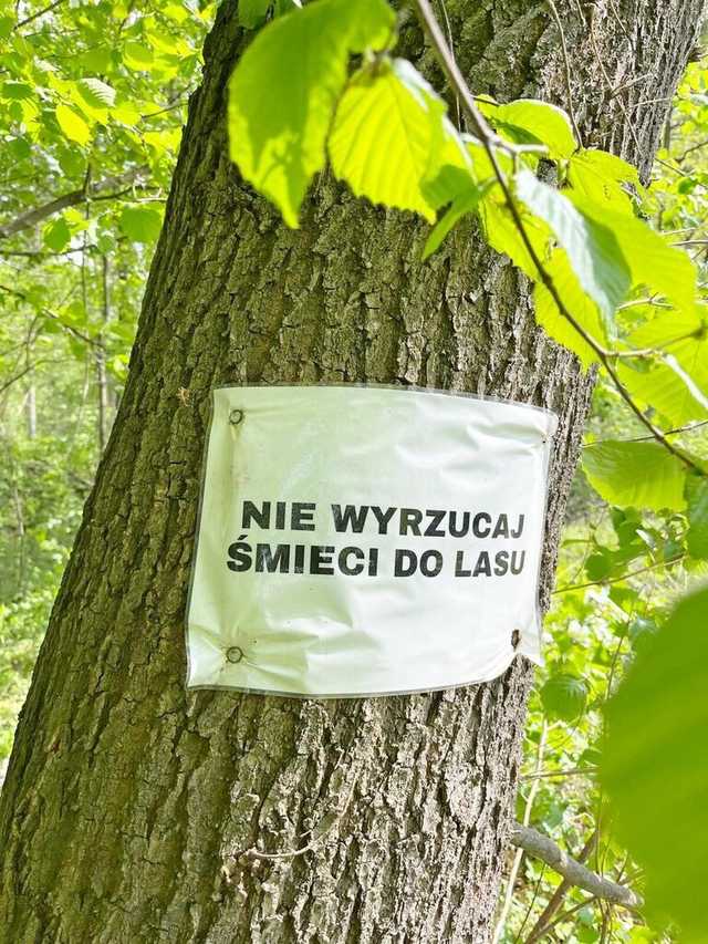 [FOTO] Mieszkańcy Wierzbnej zorganizowali akcję sprzątania wsi 