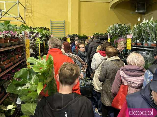 [FOTO] Ogrom kwiatów w jednym miejscu. Trwa Festiwal Roślin