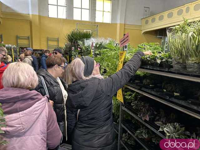 [FOTO] Ogrom kwiatów w jednym miejscu. Trwa Festiwal Roślin