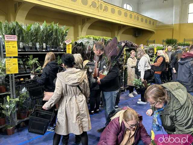 [FOTO] Ogrom kwiatów w jednym miejscu. Trwa Festiwal Roślin