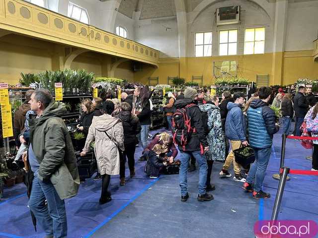 [FOTO] Ogrom kwiatów w jednym miejscu. Trwa Festiwal Roślin