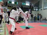 [FOTO] Udany start zawodników świnickiego Gryfa na Mistrzostwach Polski w Taekwon-do