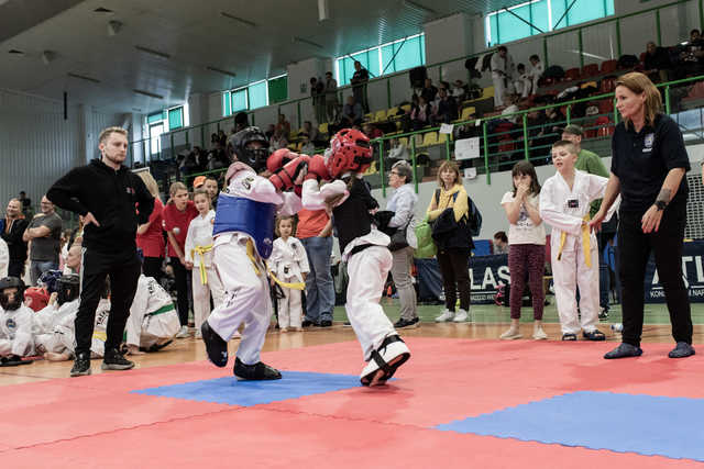 [FOTO] Udany start zawodników świnickiego Gryfa na Mistrzostwach Polski w Taekwon-do