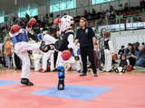 [FOTO] Udany start zawodników świnickiego Gryfa na Mistrzostwach Polski w Taekwon-do