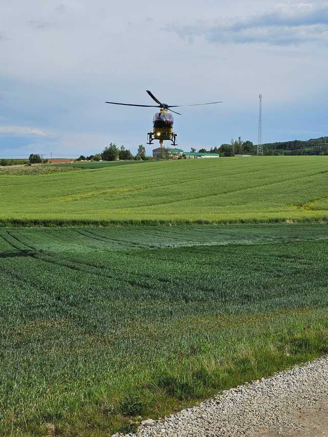 wirki