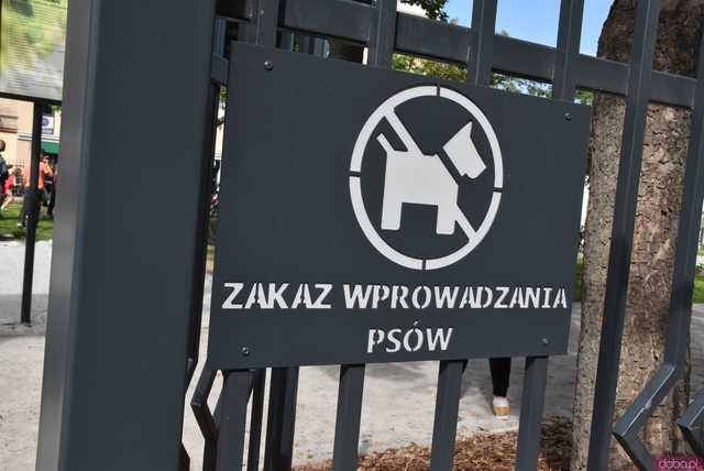[FOTO] Zobaczcie, jak prezentuje się Ogródek Jordanowski w nowej odsłonie! Uroczyste otwarcie i moc atrakcji dla najmłodszych