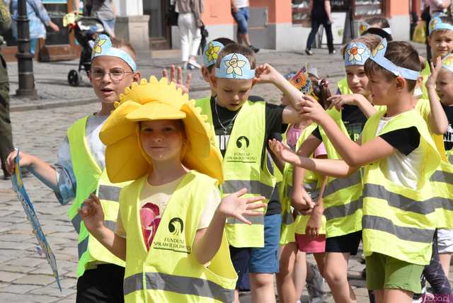 [WIDEO/FOTO] Żółty Marsz Nadziei okrążył świdnicki rynek na zwieńczenie VI edycji Pól Nadziei. Okrągły jubileusz obchodziło TPC Hospicjum