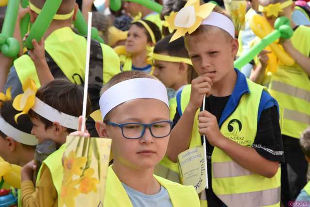 [WIDEO/FOTO] Żółty Marsz Nadziei okrążył świdnicki rynek na zwieńczenie VI edycji Pól Nadziei. Okrągły jubileusz obchodziło TPC Hospicjum