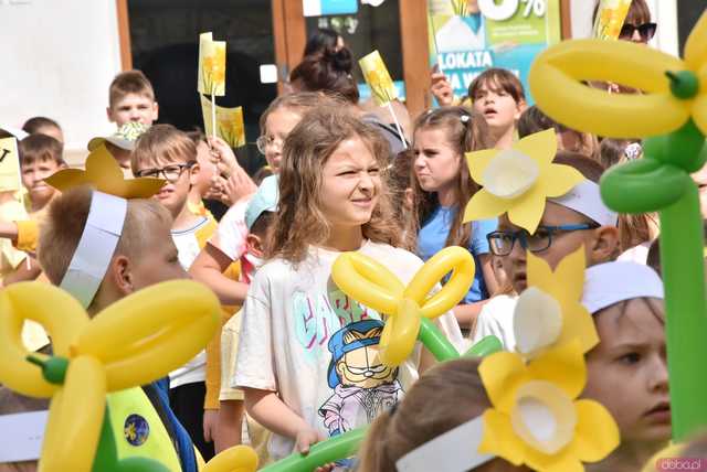 [WIDEO/FOTO] Żółty Marsz Nadziei okrążył świdnicki rynek na zwieńczenie VI edycji Pól Nadziei. Okrągły jubileusz obchodziło TPC Hospicjum