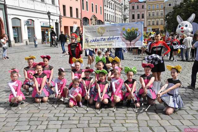 [WIDEO/FOTO] Żółty Marsz Nadziei okrążył świdnicki rynek na zwieńczenie VI edycji Pól Nadziei. Okrągły jubileusz obchodziło TPC Hospicjum