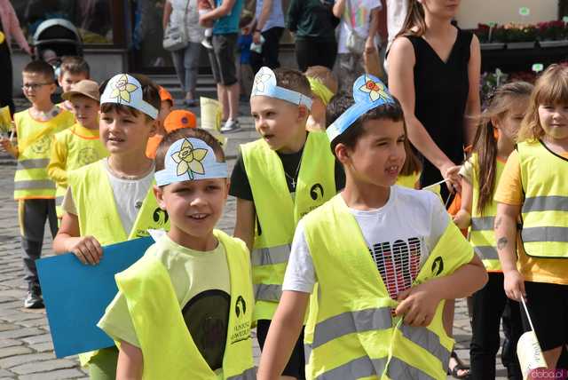 [WIDEO/FOTO] Żółty Marsz Nadziei okrążył świdnicki rynek na zwieńczenie VI edycji Pól Nadziei. Okrągły jubileusz obchodziło TPC Hospicjum