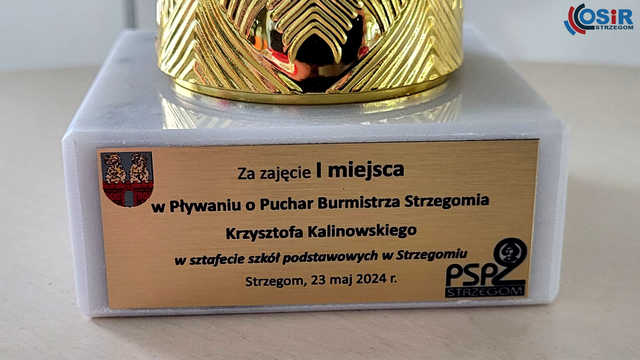 [FOTO] Rywalizowali w zawodach pływackich o Puchar Burmistrza Strzegomia
