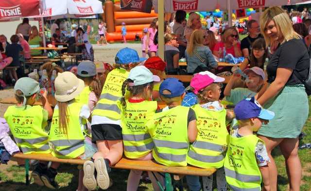 [DUŻO ZDJĘĆ] Festyny, pikniki, Gminny Dzień Dziecka. Długi weekend pełen atrakcji w gminie Dobromierz