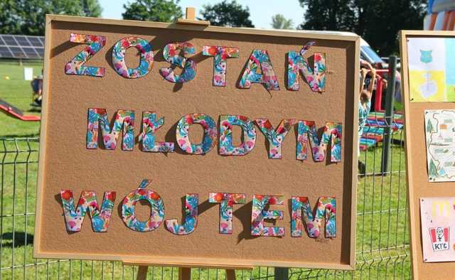 [DUŻO ZDJĘĆ] Festyny, pikniki, Gminny Dzień Dziecka. Długi weekend pełen atrakcji w gminie Dobromierz