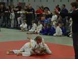 [WIDEO/FOTO] Rywalizowali w Międzynarodowym Memoriale Judo im. Edwarda Brzegowego  