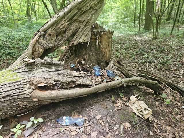 [FOTO] Wzięli sprawy w swoje ręce i posprzątali Strzelnicę
