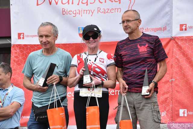 [DUŻO ZDJĘĆ/WYNIKI] Pobiegli w kolejnej odsłonie Strzegomskiej Dwunastki