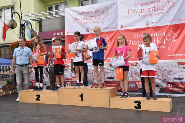 [DUŻO ZDJĘĆ/WYNIKI] Pobiegli w kolejnej odsłonie Strzegomskiej Dwunastki