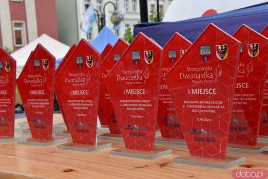 [DUŻO ZDJĘĆ/WYNIKI] Pobiegli w kolejnej odsłonie Strzegomskiej Dwunastki