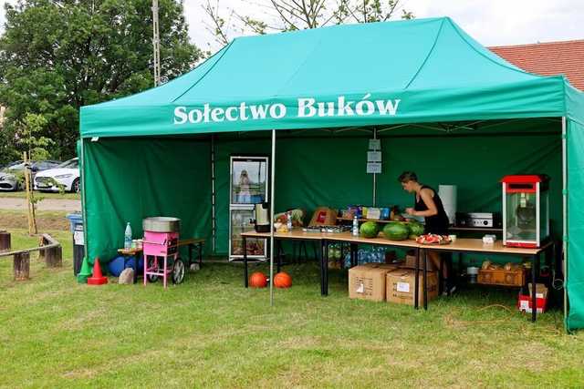 [FOTO] Nauka poprzez zabawę na Pikniku Ekologicznym w Bukowie