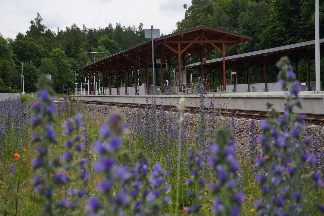 [FOTO] Pociągi jeżdżą ze Świdnicy do Jedliny-Zdroju już od roku. Malownicza trasa kolejowa przyciąga turystów z całego kraju