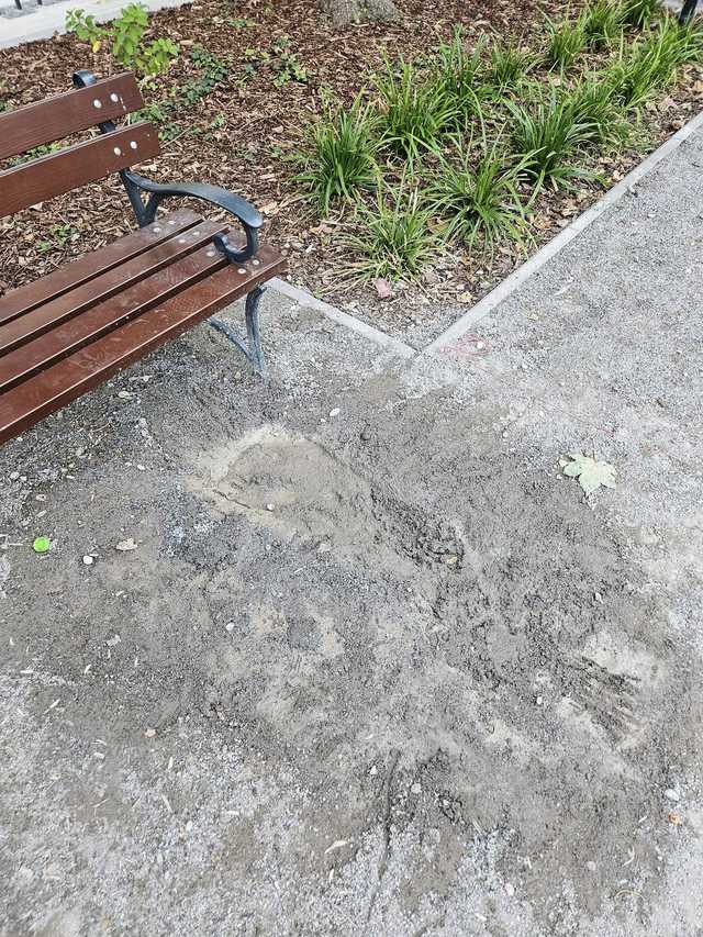 [FOTO] Wandale zniszczyli atrakcje Ogródka Jordanowskiego