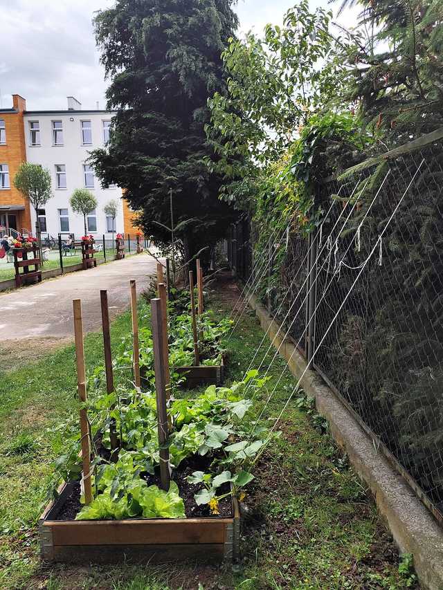 [FOTO] Przedszkolaki z Bystrzycy Dolnej zasiewają w sobie pasję do ogrodnictwa