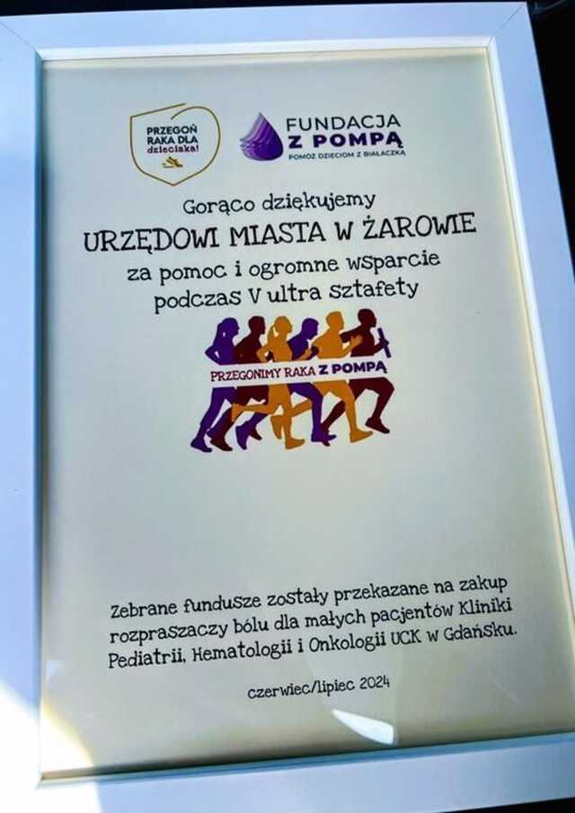 [FOTO] Biegają, aby przegonić raka. Wystartowali z Wierzbnej, skończą w Zduńskiej Woli 