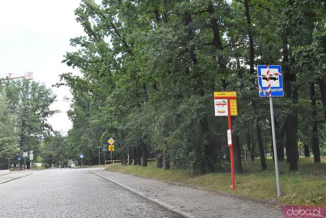 [FOTO] Start rewolucyjnych zmian w komunikacji miejskiej. Zobaczcie autobusy na nowych trasach i przystankach!