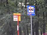 [FOTO] Start rewolucyjnych zmian w komunikacji miejskiej. Zobaczcie autobusy na nowych trasach i przystankach!