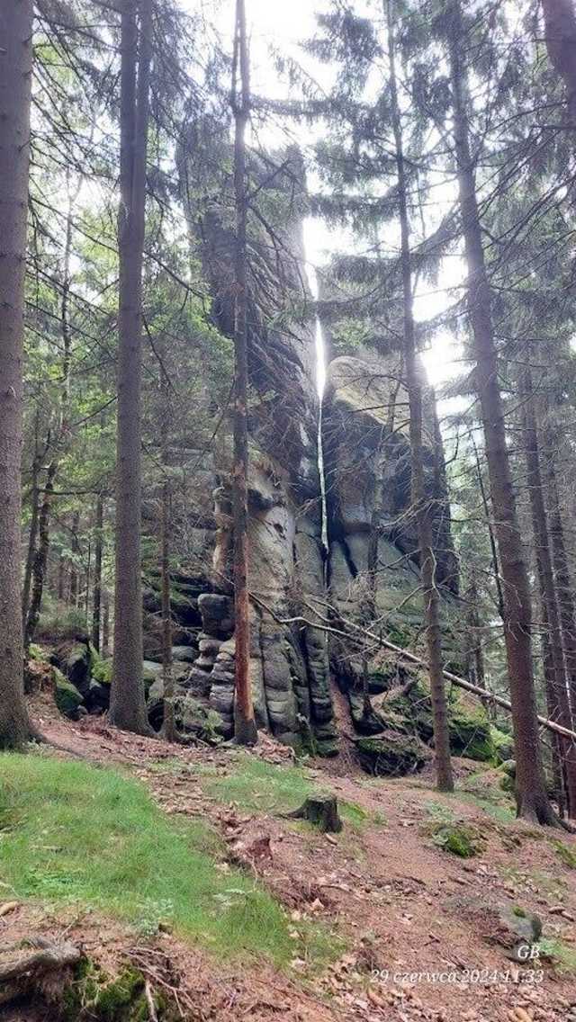 [FOTO] Żarodreptaki wędrowali po Górach Stołowych