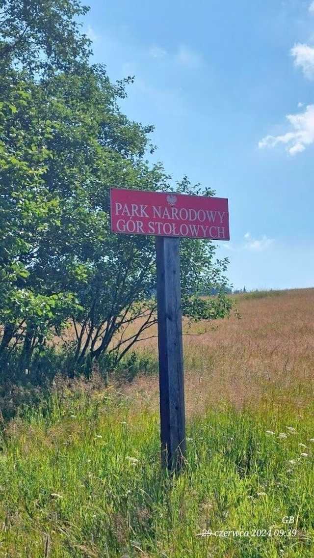 [FOTO] Żarodreptaki wędrowali po Górach Stołowych