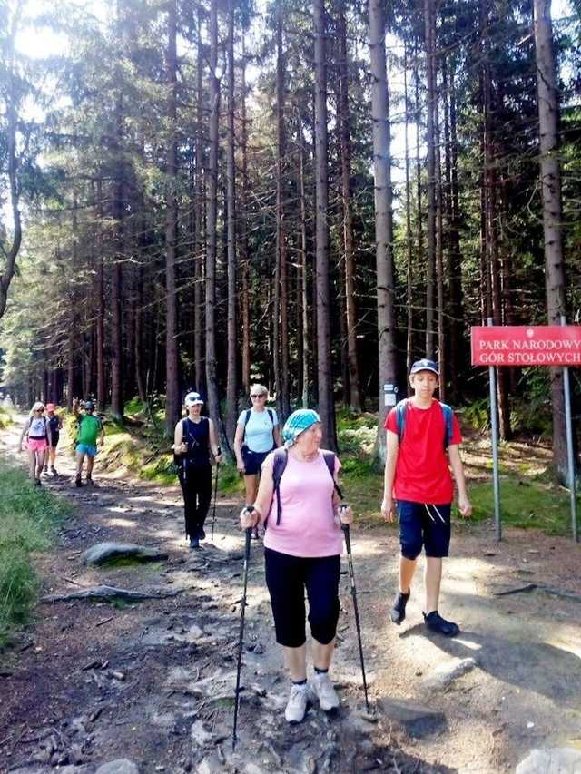 [FOTO] Żarodreptaki wędrowali po Górach Stołowych