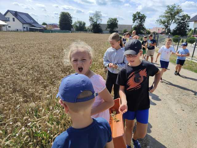 [FOTO] Trwają Aktywne Wakacje 2024 w gminie Jaworzyna Śląska