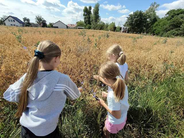 [FOTO] Trwają Aktywne Wakacje 2024 w gminie Jaworzyna Śląska