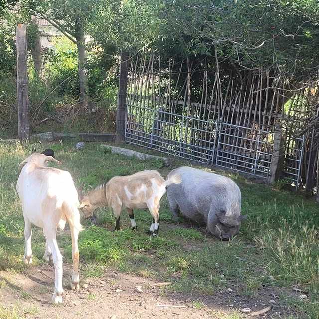 [FOTO] Dzieci z gminy Świdnica odwiedziły Ostoję nad Młynówką