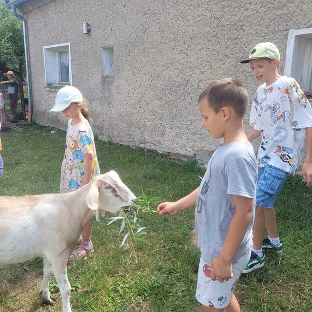 [FOTO] Dzieci z gminy Świdnica odwiedziły Ostoję nad Młynówką